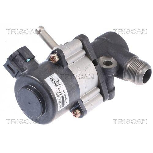 AGR-Ventil TRISCAN 8813 14026 für NISSAN