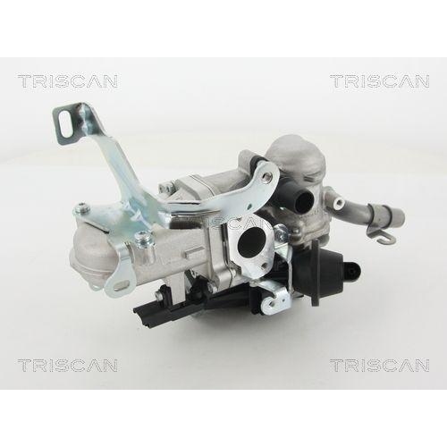 AGR-Ventil TRISCAN 8813 10103 für CITROËN FORD PEUGEOT VOLVO