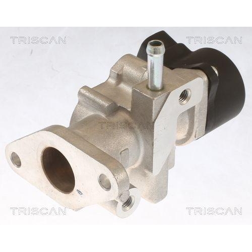 AGR-Ventil TRISCAN 8813 13104 für TOYOTA