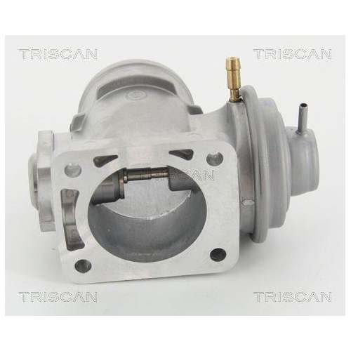 AGR-Ventil TRISCAN 8813 10210 für BMW OPEL VAUXHALL