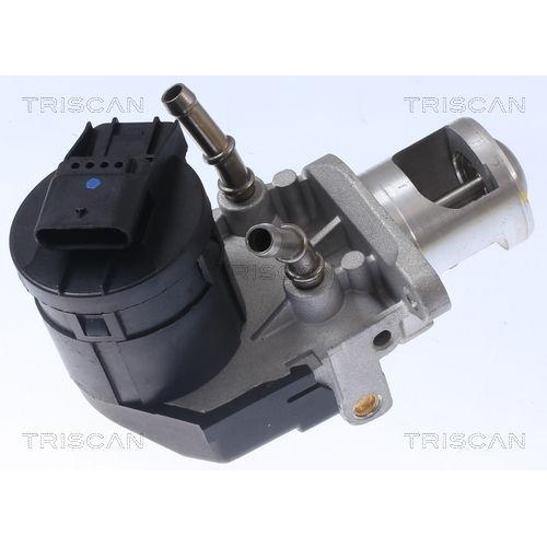 AGR-Ventil TRISCAN 8813 11001 für BMW