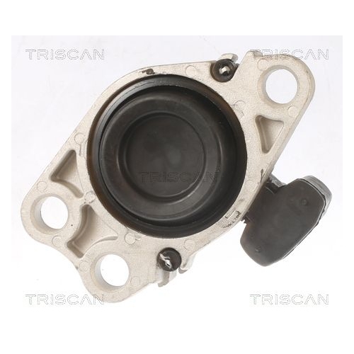 Lagerung, Motor TRISCAN 8505 25100 für NISSAN RENAULT, hinten, rechts