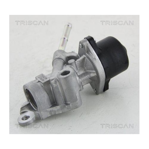 AGR-Ventil TRISCAN 8813 13025 für TOYOTA