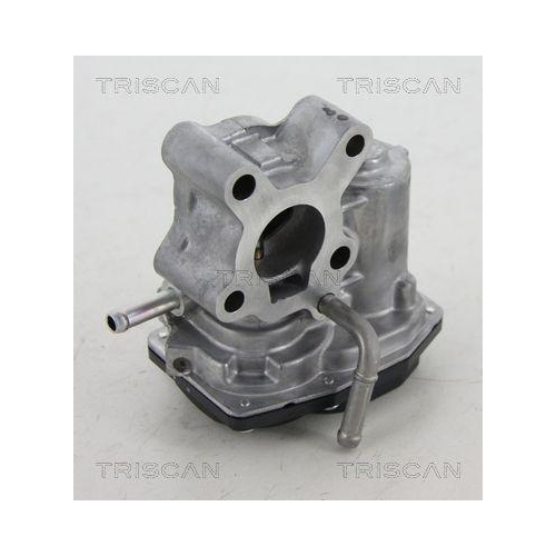 AGR-Ventil TRISCAN 8813 13200 für TOYOTA, oben, unten