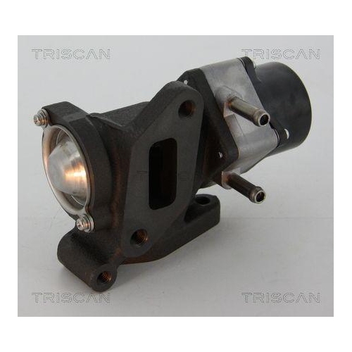 AGR-Ventil TRISCAN 8813 14005 für NISSAN