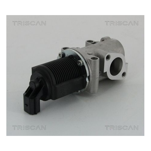 AGR-Ventil TRISCAN 8813 15032 für FIAT LANCIA