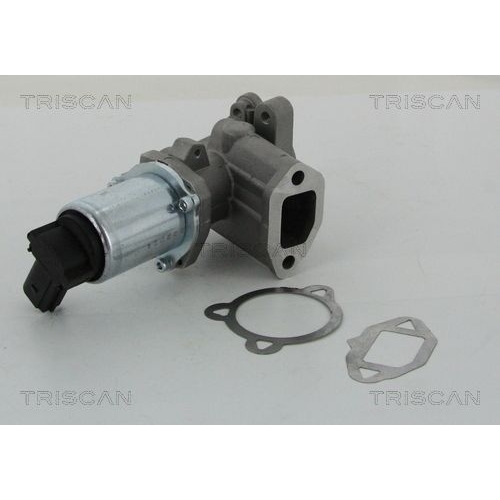 AGR-Ventil TRISCAN 8813 15052 für FIAT LANCIA