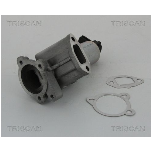 AGR-Ventil TRISCAN 8813 15069 für FIAT LANCIA