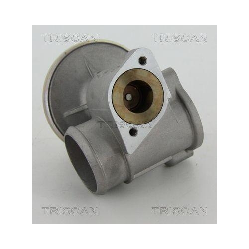 AGR-Ventil TRISCAN 8813 16010 für FORD