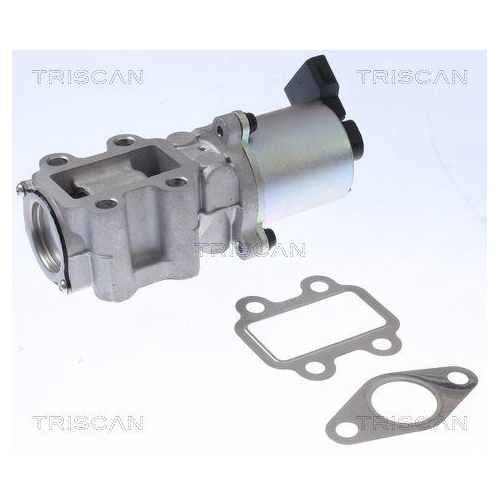 AGR-Ventil TRISCAN 8813 13100 für TOYOTA