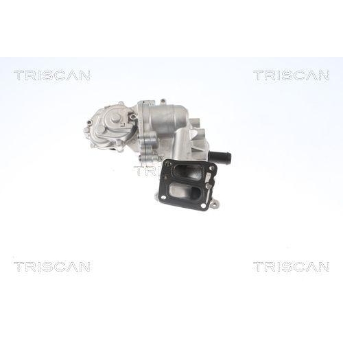 AGR-Ventil TRISCAN 8813 16005 für FORD FORD USA