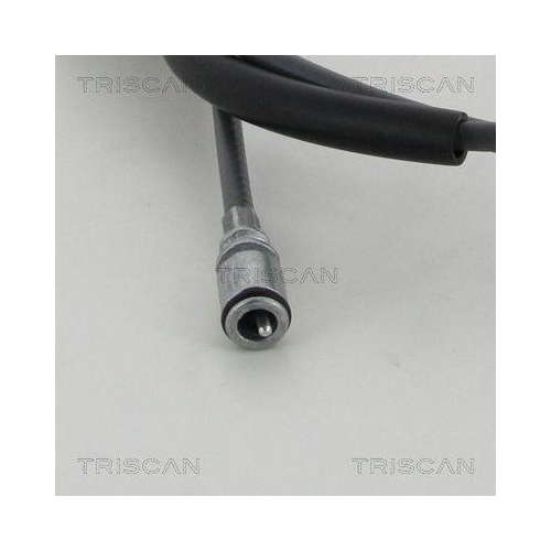 Tachowelle TRISCAN 8140 25420 für RENAULT