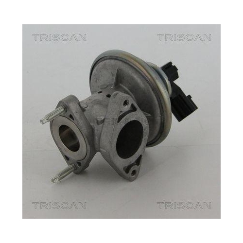 AGR-Ventil TRISCAN 8813 16043 für FORD