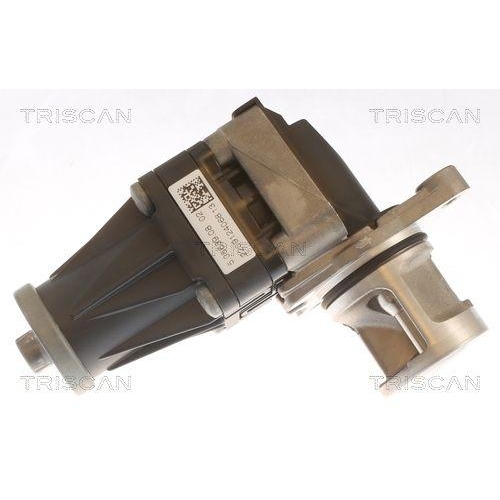 AGR-Ventil TRISCAN 8813 10053 für CITROËN FORD PEUGEOT VOLVO