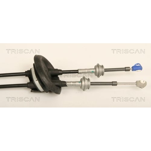 Seilzug, Schaltgetriebe TRISCAN 8140 38703 für CITROËN PEUGEOT