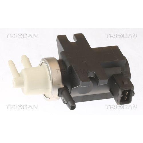 Druckwandler, Abgassteuerung TRISCAN 8813 29073 für AUDI FORD SEAT SKODA VW