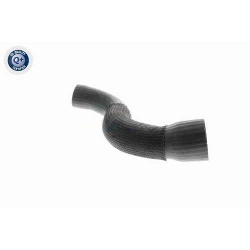 Ladeluftschlauch VAICO V10-3831 Q+, Erstausrüsterqualität für AUDI SEAT SKODA VW