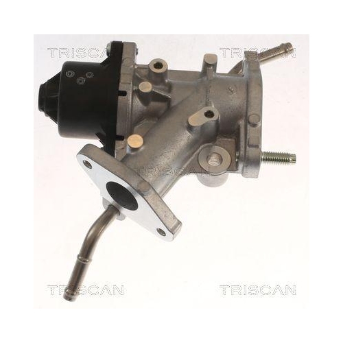 AGR-Ventil TRISCAN 8813 13068 für TOYOTA