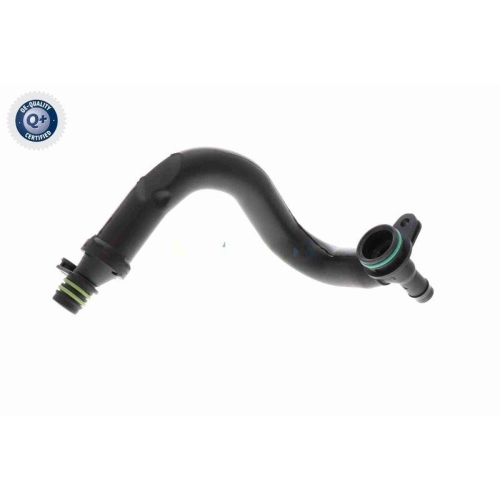 Ventil, Kurbelgehäuseentlüftung VAICO V10-8677 Green Mobility Parts für VW