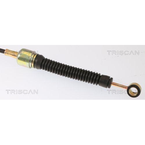 Seilzug, Automatikgetriebe TRISCAN 8140 29761 für VW