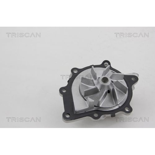 Wasserpumpe, Motorkühlung TRISCAN 8600 28021 für CITROËN FIAT FORD JAGUAR LANCIA