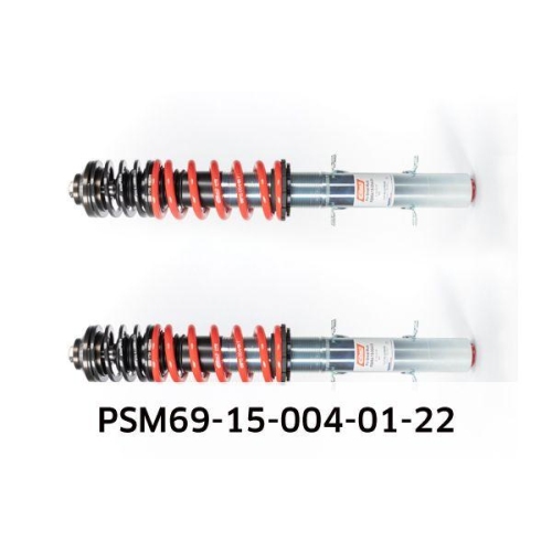 Fahrwerkssatz, Federn/Dämpfer EIBACH PSM69-15-004-01-22 Pro-Street-Multi für