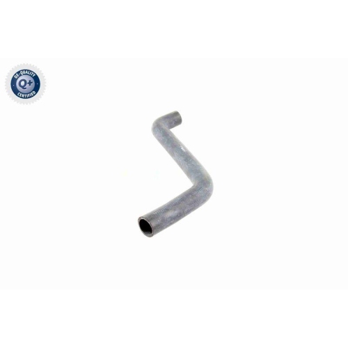 Kühlerschlauch VAICO V10-0058 Q+, Erstausrüsterqualität für AUDI SEAT SKODA VW