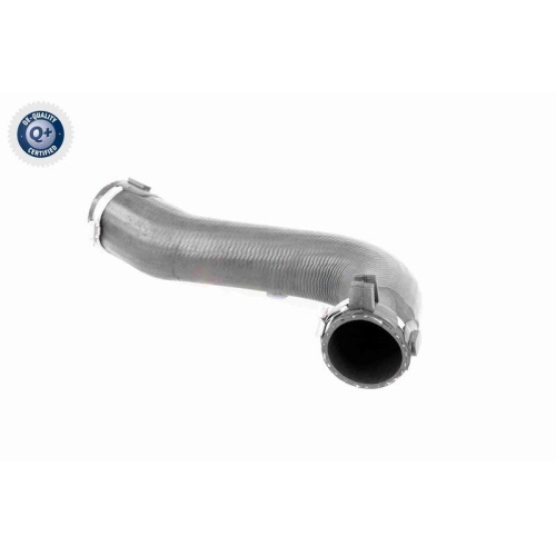 Ladeluftschlauch VAICO V42-0584 Q+, Erstausrüsterqualität für FIAT PEUGEOT