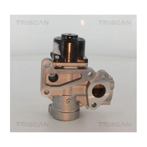 AGR-Ventil TRISCAN 8813 16203 für FORD