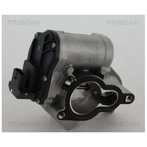 AGR-Ventil TRISCAN 8813 24039 für NISSAN OPEL RENAULT VAUXHALL