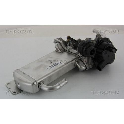 AGR-Ventil TRISCAN 8813 29303 für AUDI VW