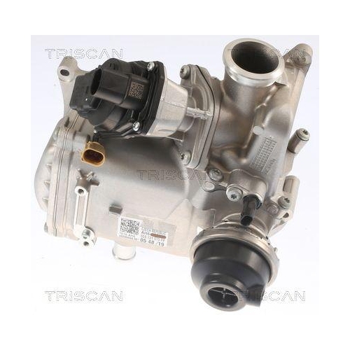 AGR-Ventil TRISCAN 8813 29013 für AUDI