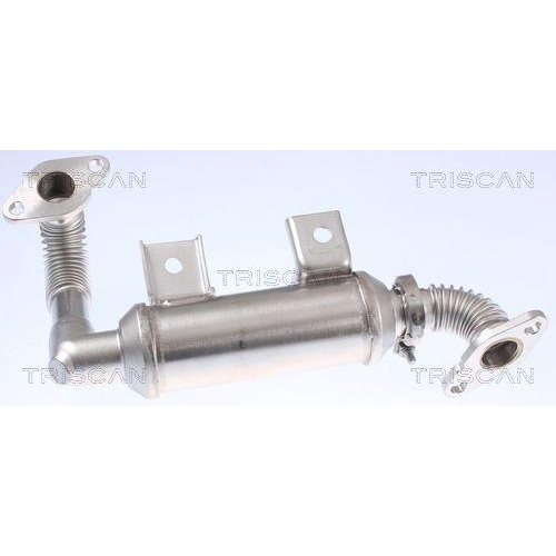 Kühler, Abgasrückführung TRISCAN 8813 16103 für FORD