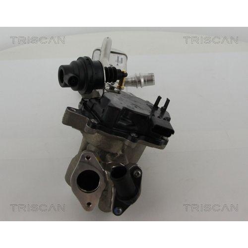 AGR-Ventil TRISCAN 8813 28044 für CITROËN PEUGEOT