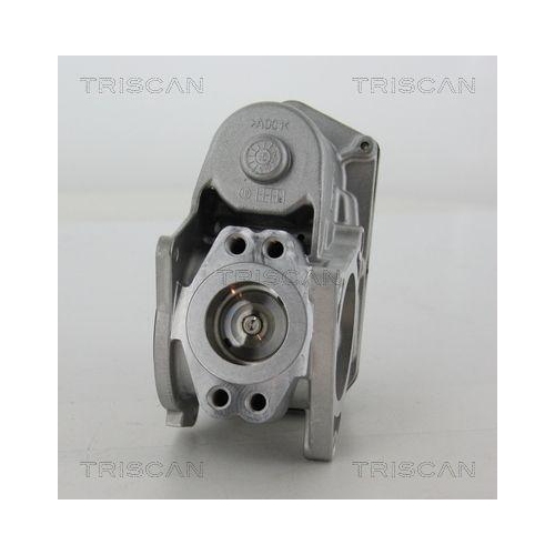 AGR-Ventil TRISCAN 8813 29003 für AUDI SEAT SKODA VW