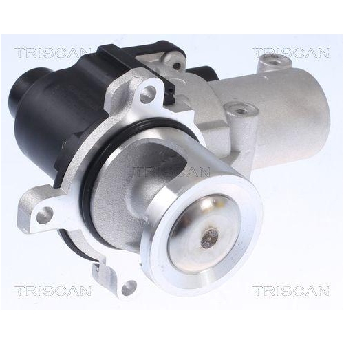 AGR-Ventil TRISCAN 8813 29015 für AUDI VW