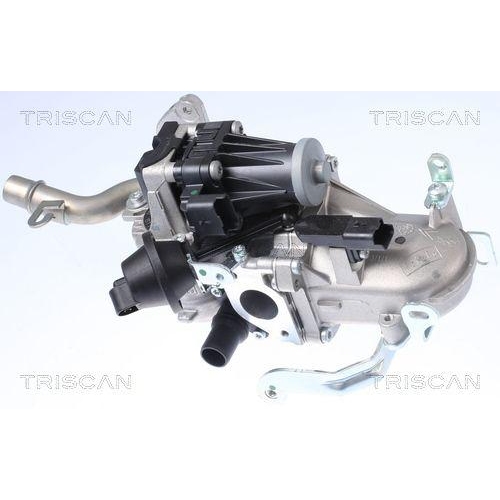 AGR-Ventil TRISCAN 8813 10106 für CITROËN FORD PEUGEOT