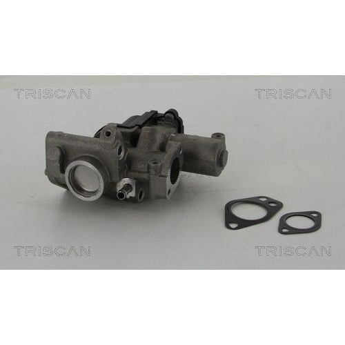 AGR-Ventil TRISCAN 8813 29312 für AUDI PORSCHE VW