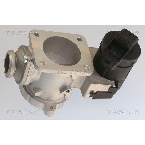 AGR-Ventil TRISCAN 8813 11020 für BMW