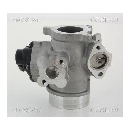 AGR-Ventil TRISCAN 8813 10012 für NISSAN OPEL RENAULT VAUXHALL