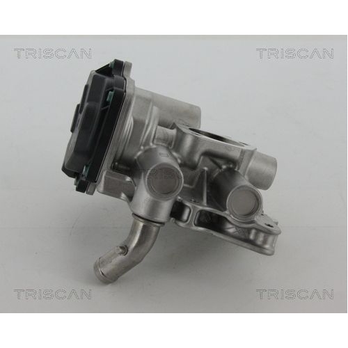 AGR-Ventil TRISCAN 8813 15205 für CITROËN FIAT PEUGEOT