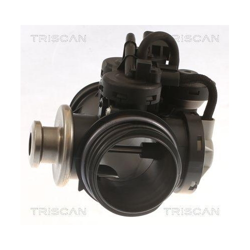 AGR-Ventil TRISCAN 8813 28045 für PEUGEOT