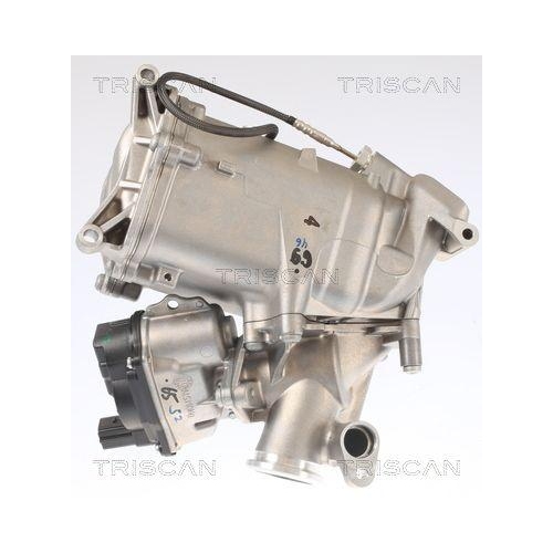 AGR-Ventil TRISCAN 8813 29008 für AUDI VW