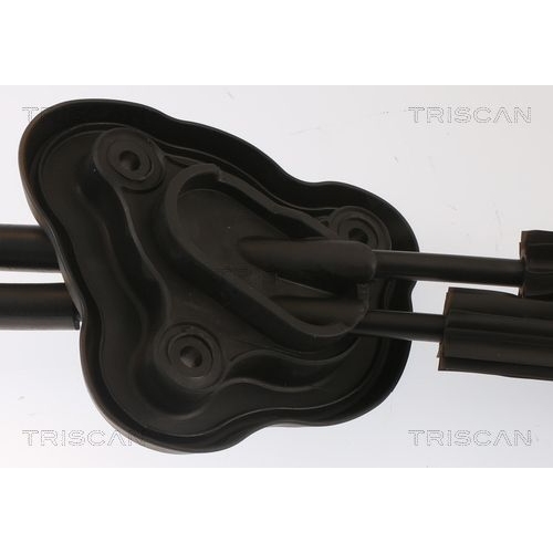 Seilzug, Schaltgetriebe TRISCAN 8140 25728 für RENAULT