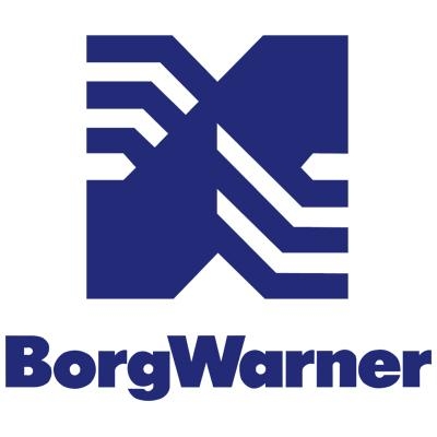 BorgWarner (BERU)